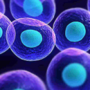 Nutrición Celular: La Clave para una Salud Profunda y Duradera